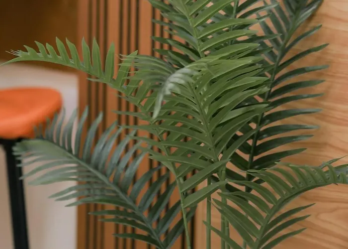 Brand New Hotel-inspired Fern At Grass Residencest5 * Manila